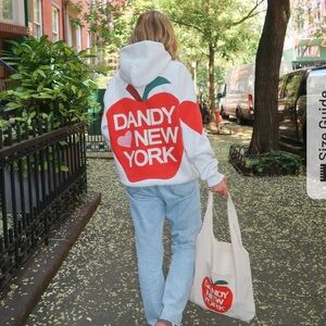 Dandy Worldwide “Big Apple” Oversize Lux Hoodie Heather Grey. Sz XS. NWT